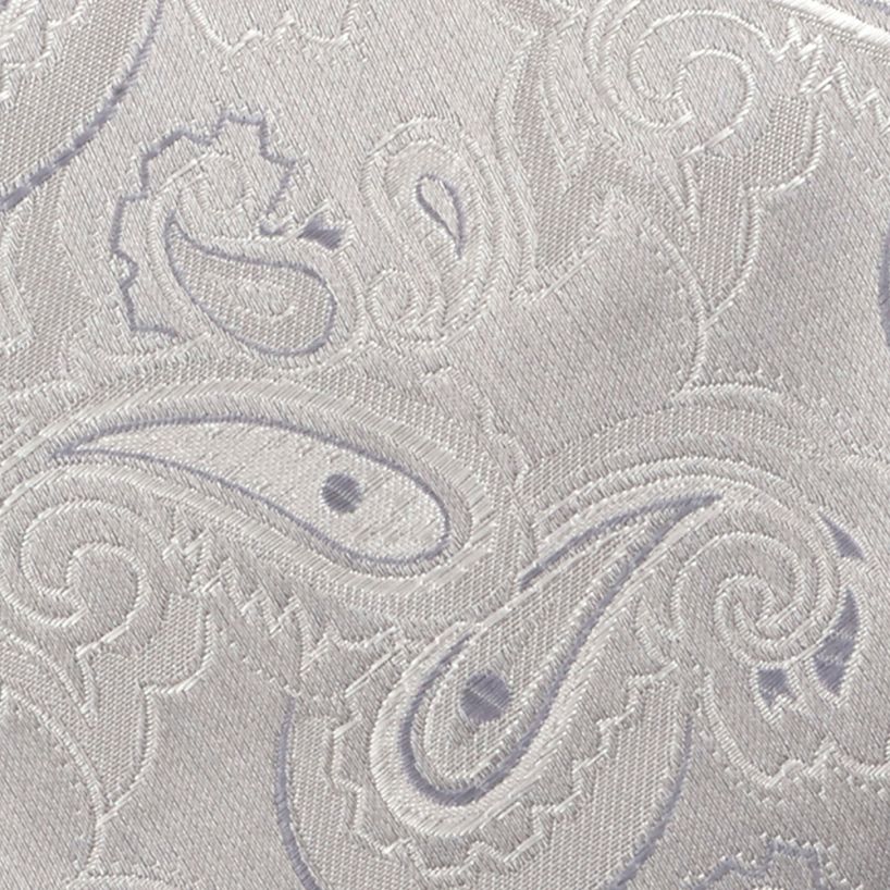 Hollywood Suit Tone on Tone Paisley Grey Tie