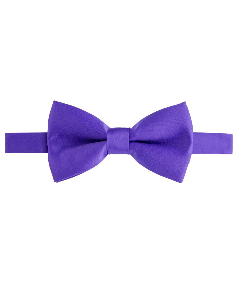 Angelo Rossi Purple Satin Bow Tie