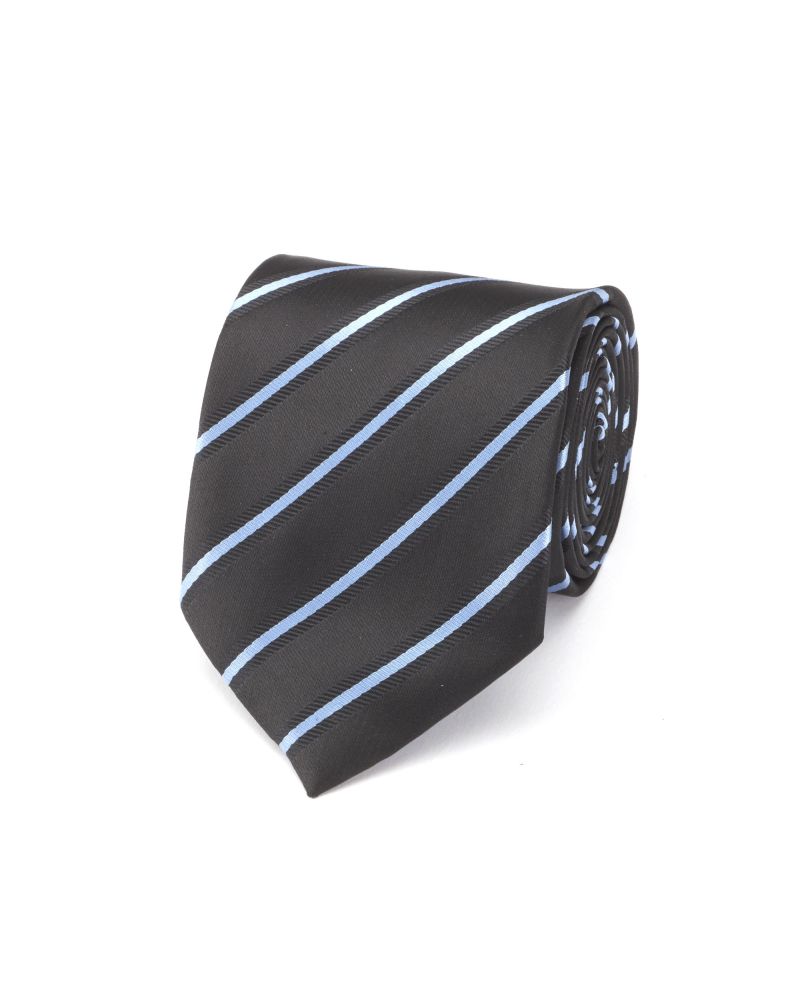 Angelo Rossi Blue Parallel Striped Contrast Tie